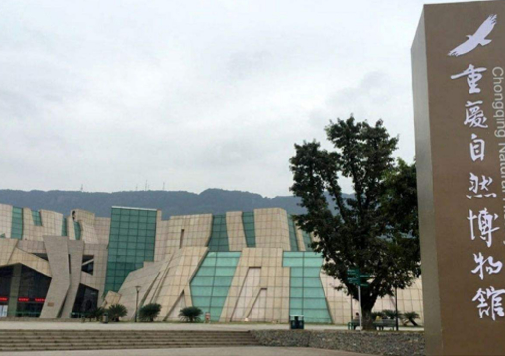 ��Ȼ�����^�����^�(xi��ng)Ŀ